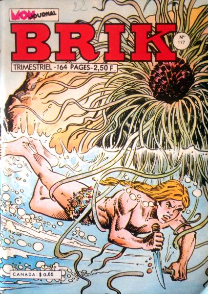 Brik # 177 - 