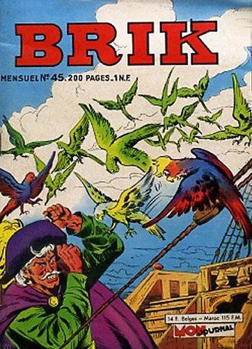 Brik # 45 - 