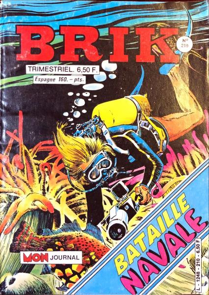 Brik # 210 - 